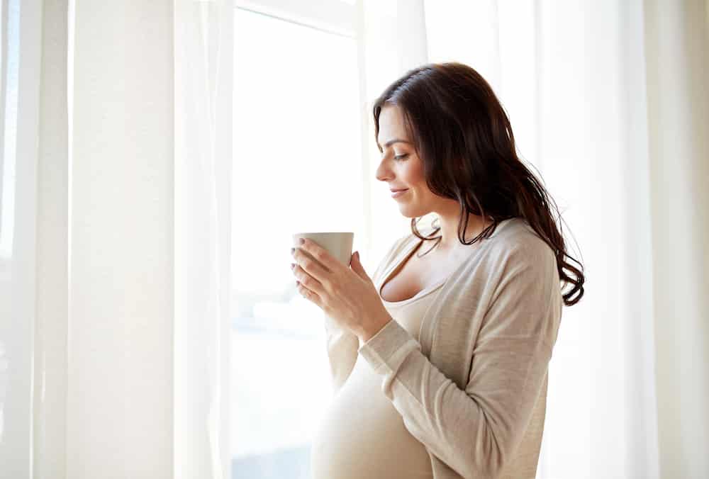 Drinking raspberry leaf tea pregnancy 