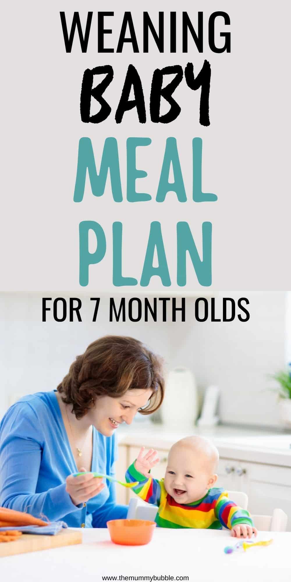 Weaning baby meal plan for 7 month olds 