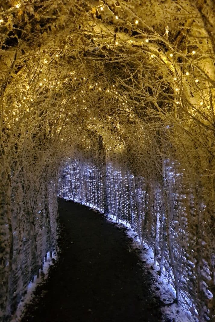 Lapland UK tunnels 