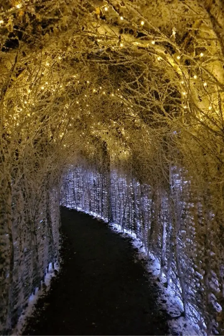 Lapland UK tunnels